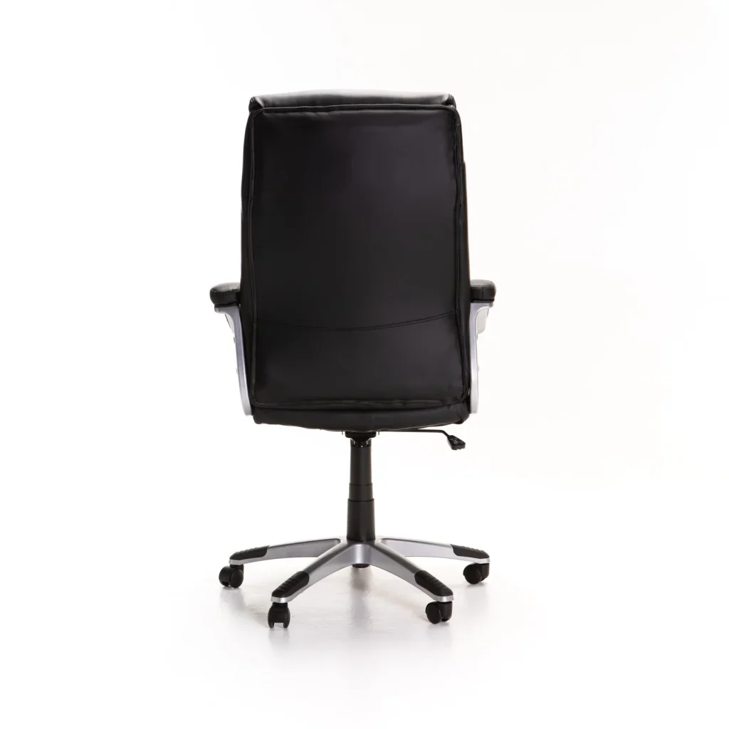 LUXURY EXECUTIVE HIBACK OFFICE CHAIR CM113 - Black