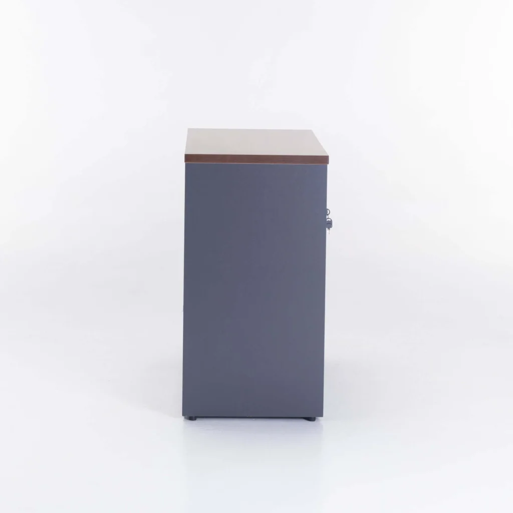 AXA 2 DOOR CABINET - WALNUT
