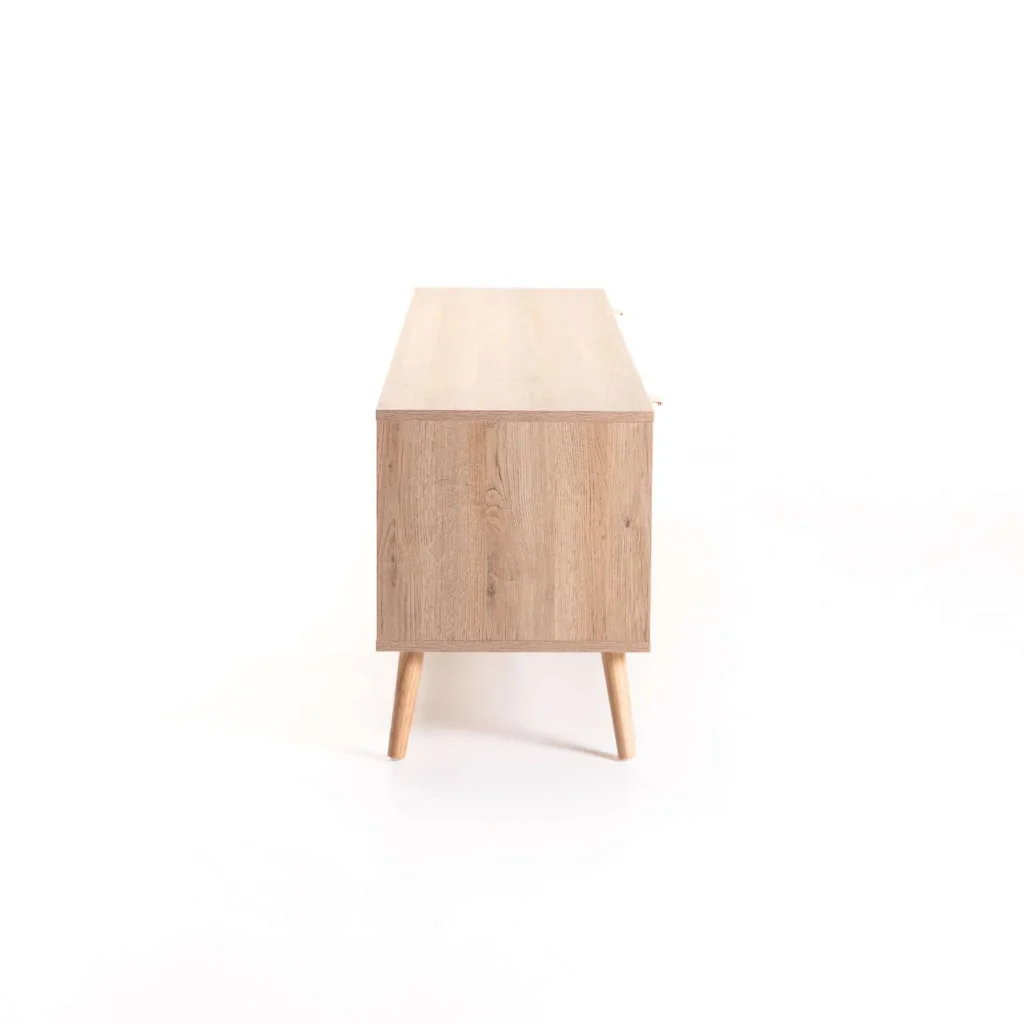 DEWI 2 DOOR TV UNIT - RUSTIC /OAK